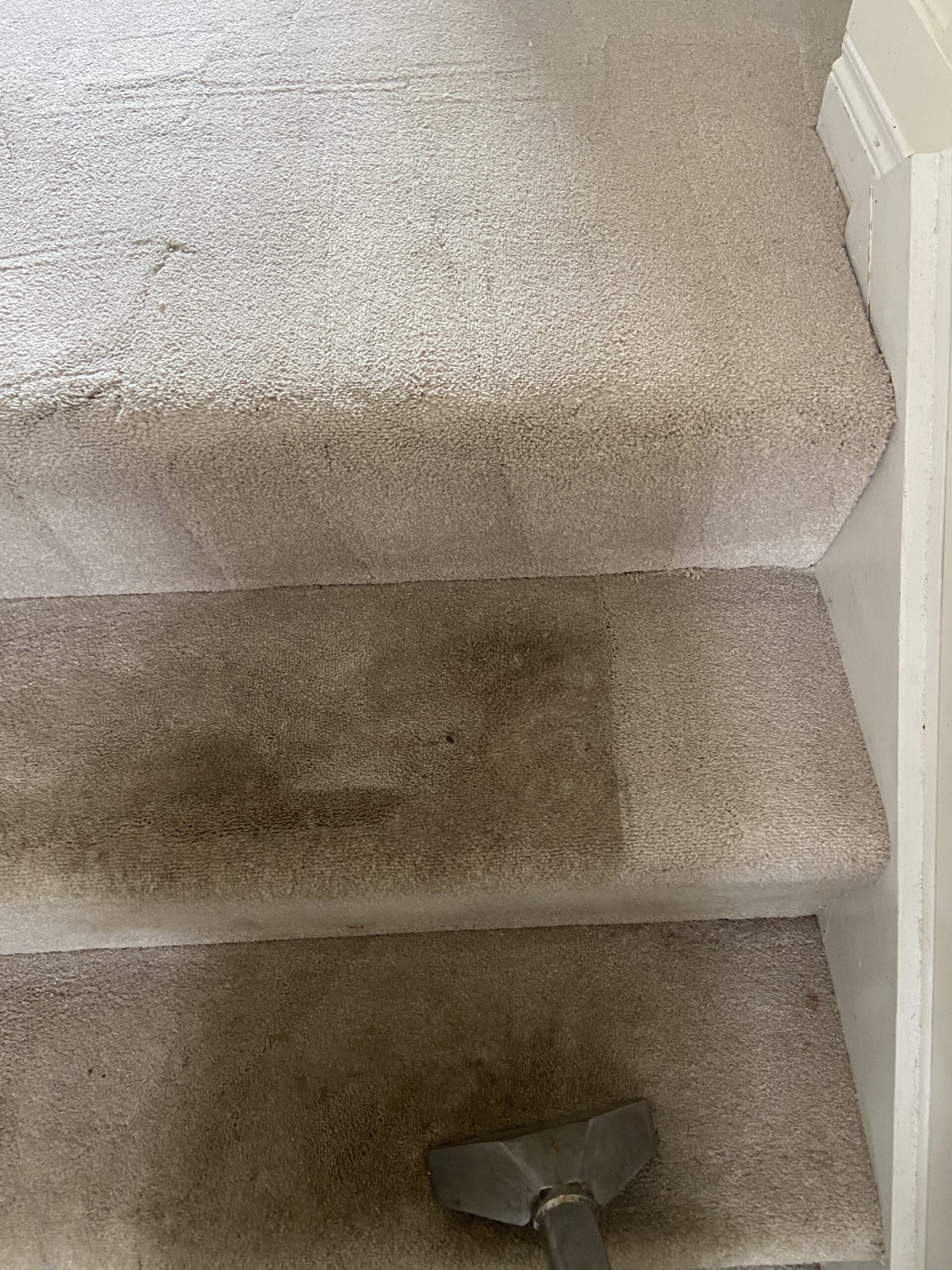 Stairs Carpet Cleaned By Jem Carpet & Upholstery Cleaning