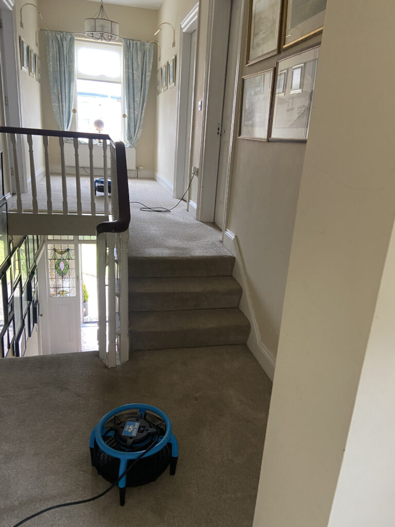 Landing & Stairs Carpet Cleaned By Jem Carpet & Upholstery Cleaning In Bangor