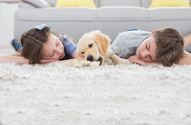 Cleaner, Healthier Carpets and Furniture